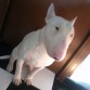 que quereis que os cuente?es un puto modelo,lo pongo de una postura y se keda kieto asta ke lo muevo de nuevo